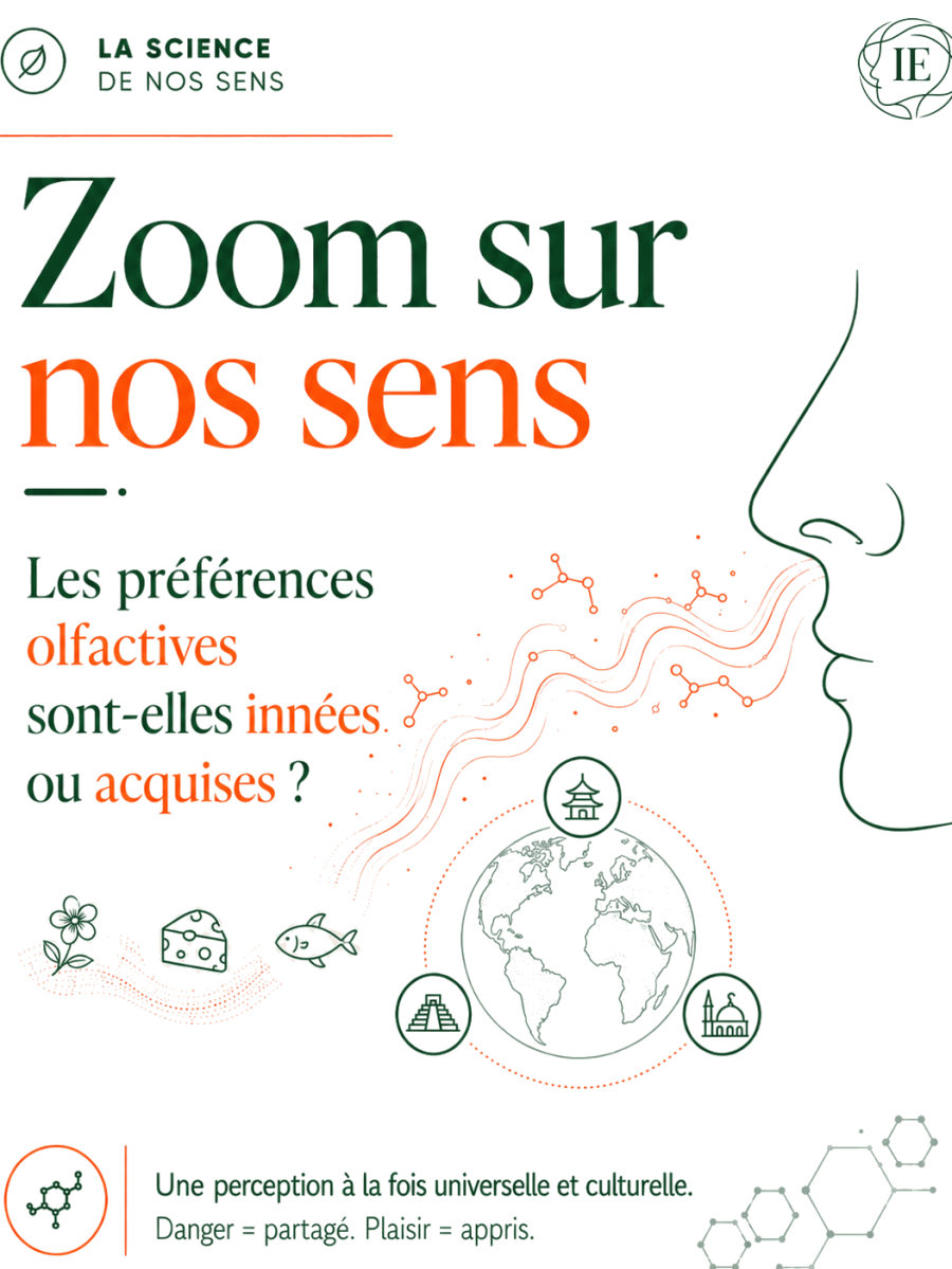 Les préférences olfactives sont-elles innées ou acquises&nbsp;?